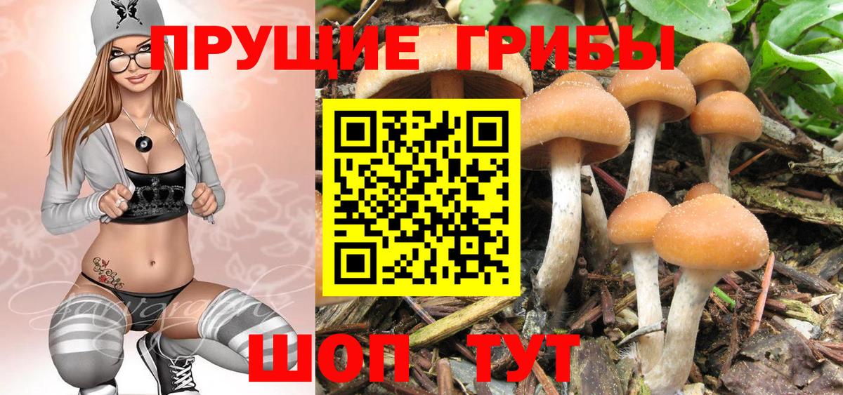 Донецк  Псилоцибиновые грибы ЛСД  Вход с VPN 